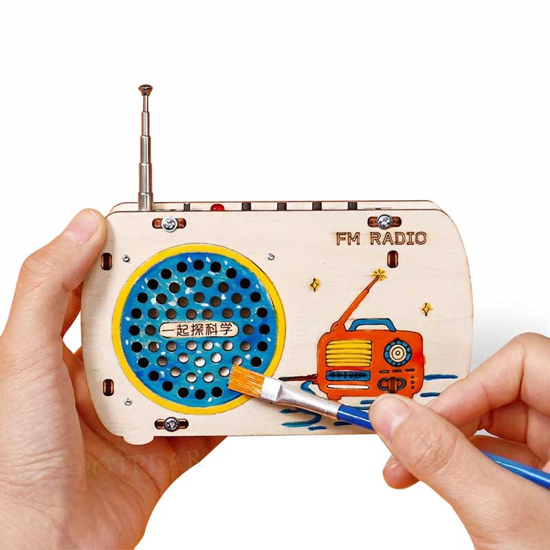 Radio Assembly DIY Kit STEM Ed - Diy Electronics Projects For Beginners 评论和价格